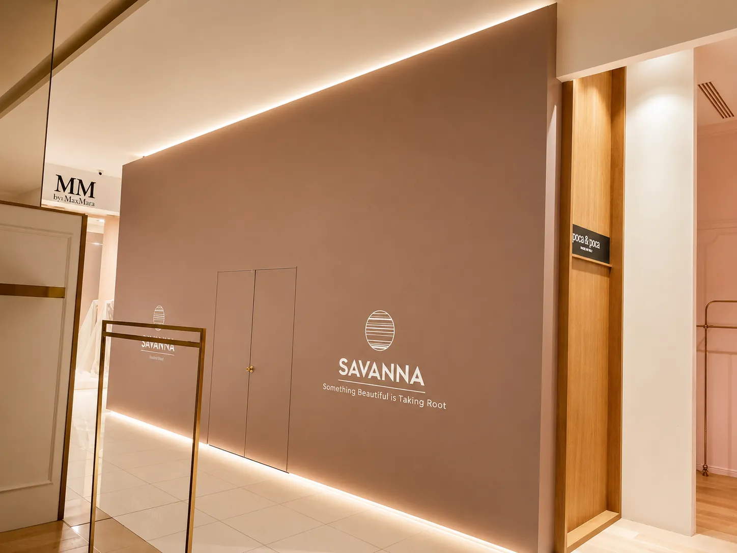 Savanna - Image 2